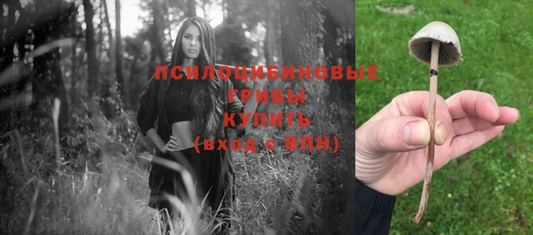 мет Сатка