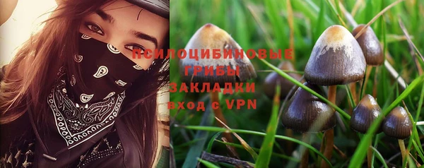 тгк Армянск
