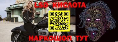 крисы Новокубанск