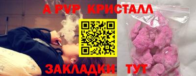 крисы Новодвинск