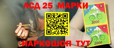крисы Новодвинск