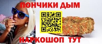 крисы Новокубанск
