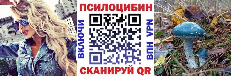 Псилоцибиновые грибы прущие грибы  Чернушка 